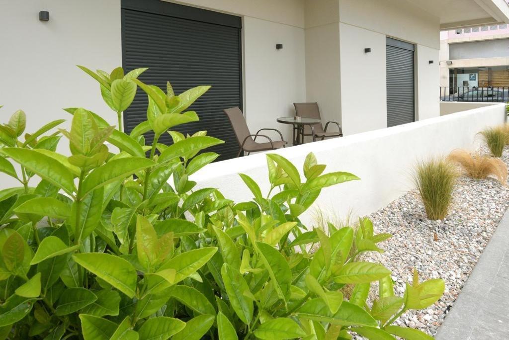 Aello Luxury Apartments Markopoulo Mesogaias Ngoại thất bức ảnh